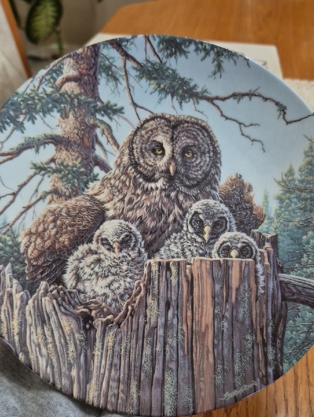 Knowles China Limited Edition Collector Plate "Forest Edge: Great Gray Owls"